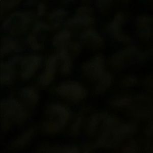 Meet your Posher, Cody